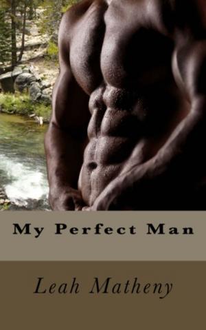 Cover of the book My Perfect Man by Jessica Wilde