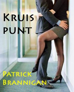 Book cover of Kruispunt