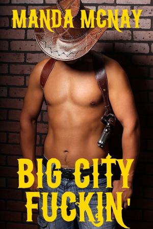 Cover of the book Big City Fuckin' (First Time Fuckin' 2) by Manda McNay