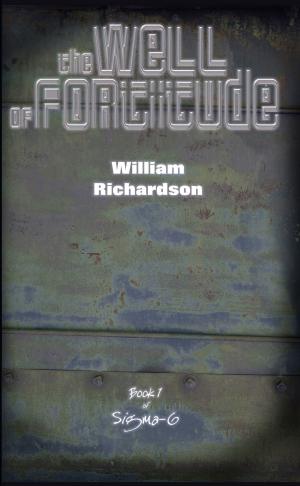 Cover of the book The Well of Fortitude by Chris Kennedy