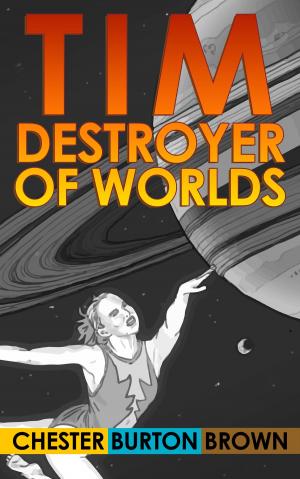 Cover of the book Tim, Destroyer of Worlds by Abhay Adil