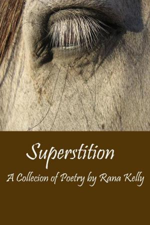 Book cover of Superstition