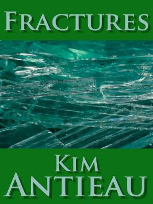 Cover of the book Fractures by Kim Antieau