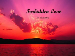 Cover of Forbidden Love (Short Story)