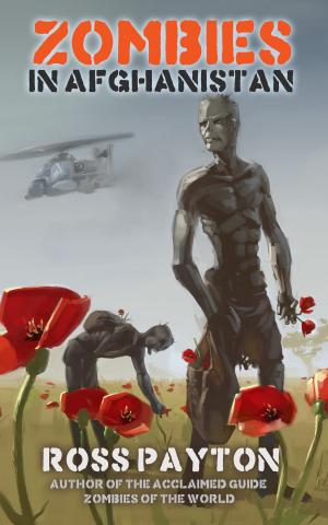 Cover of the book Zombies in Afghanistan by Andrea Domanski