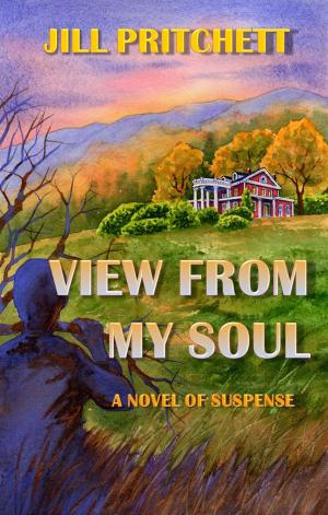 bigCover of the book View From My Soul by 