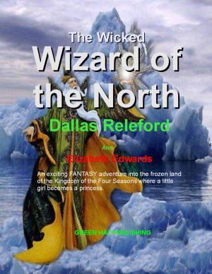 Book cover of The Wicked Wizard of the North