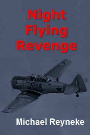 Cover of the book Night Flying Revenge by Ivana Hruba