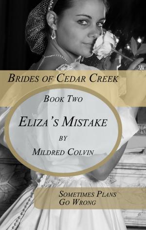 Cover of the book Eliza's Mistake by Mildred Colvin