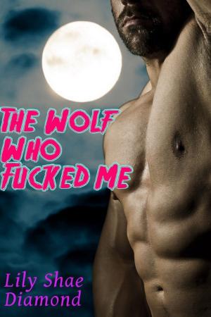bigCover of the book The Wolf Who Fucked Me by 
