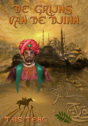 Cover of the book De Grijns van de Djinn by Tais Teng