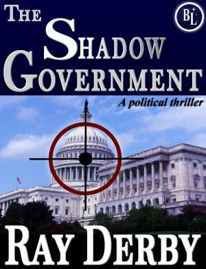 Cover of the book The Shadow Government by Philippe Porée-Kurrer