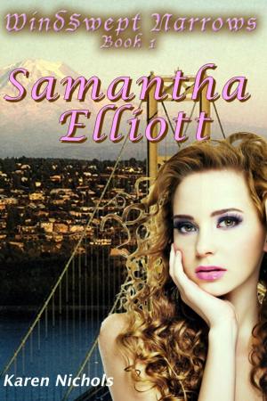 bigCover of the book WindSwept Narrows: # 1 Samantha Elliott by 