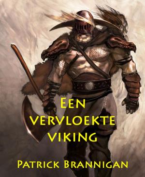 Book cover of Een vervloekte viking