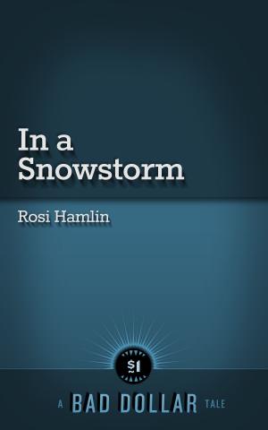 bigCover of the book In a Snowstorm by 
