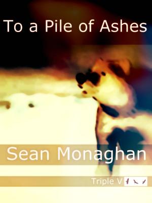 Cover of the book To a Pile of Ashes by Len Stone