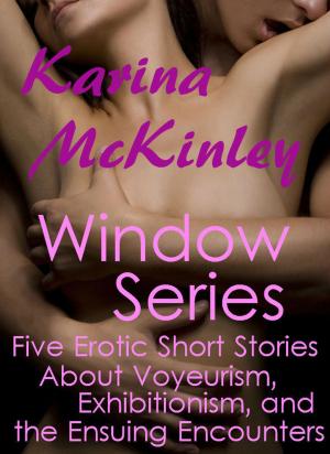 Book cover of The Window Series: Five Erotic Short Stories about Voyeurism, Exhibitionism, and the Ensuing Encounters