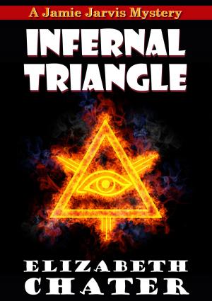 Cover of the book Infernal Triangle by Colin T Nelson