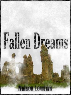 Book cover of Fallen Dreams