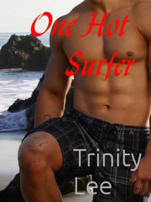 Book cover of One Hot Surfer