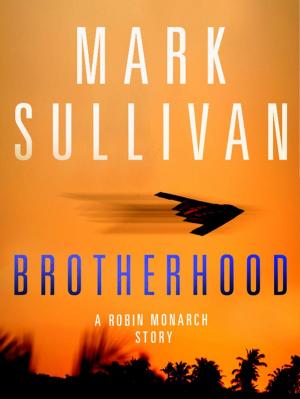 Cover of the book Brotherhood by Andrew Burstein