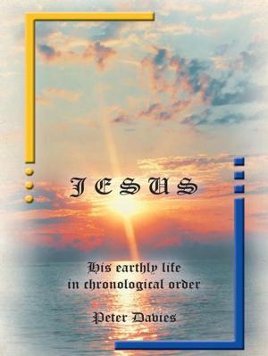 Cover of the book Jesus: His Earthly Life in Chronological Order by Cheryl J. McCullough