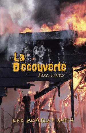 Cover of the book La Decouverte by Christina Chitenderu Mthombeni