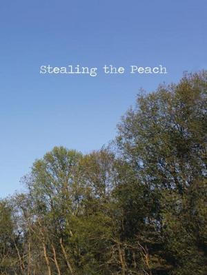 Cover of the book Stealing the Peach by Pamela Moorehead