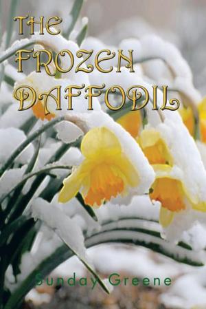 Cover of the book The Frozen Daffodil by Barbara E. Saefke