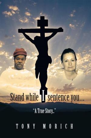 Cover of the book Stand While I Sentence You… by C. R. Bryan