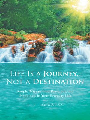 Book cover of Life Is a Journey, Not a Destination