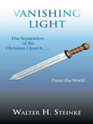 Cover of the book Vanishing Light by Wayne Elliott