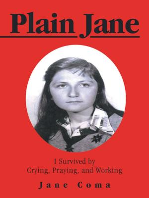 Book cover of Plain Jane