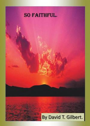 Cover of the book So Faithful. by David Kenneth Poletz