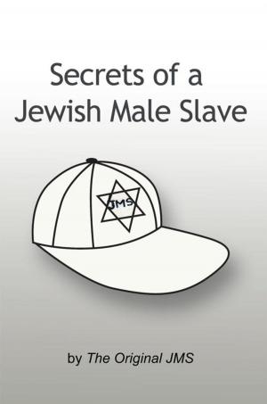 Book cover of Secrets of a Jewish Male Slave