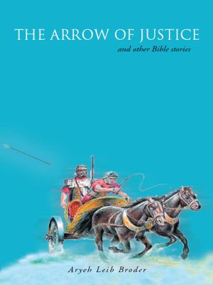 Cover of the book The Arrow of Justice and Other Bible Stories by Maria Burkill, Peter Burkill