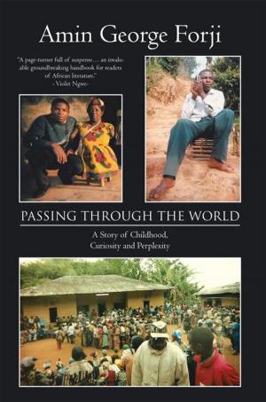 Cover of the book Passing Through the World by Ernest M. Roberts.