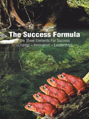 Cover of the book The Success Formula by TJ Hoisington