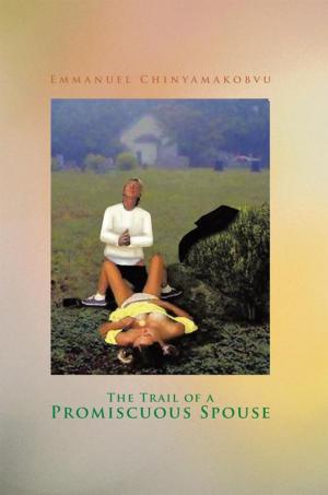 Cover of the book The Trail of a Promiscuous Spouse by John Townsend