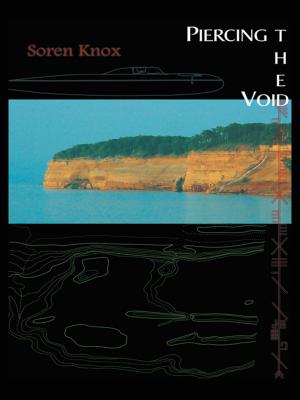 Cover of the book Piercing the Void by Garland Hill