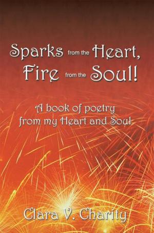 Cover of the book Sparks from the Heart, Fire from the Soul! by J J Ginty