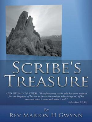 Cover of the book Scribe's Treasure by Florence Bienenfeld