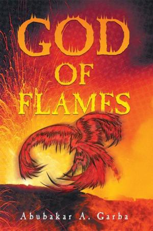 Cover of the book God of Flames by Shoshana Kobrin