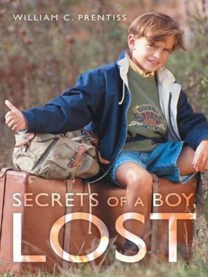 Book cover of Secrets of a Boy, Lost