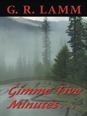 Cover of the book Gimme Five Minutes ... by Alvergia N. Barry