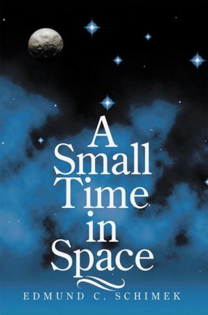 Cover of the book A Small Time in Space by Calvin L. McCullough Sr.