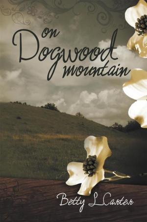Cover of the book On Dogwood Mountain by Sephera Giron