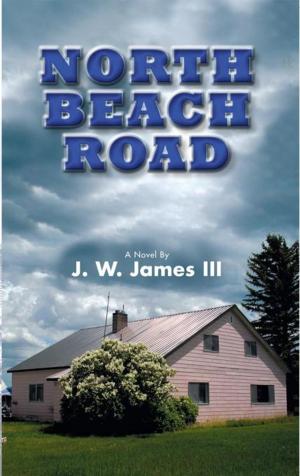 bigCover of the book North Beach Road by 