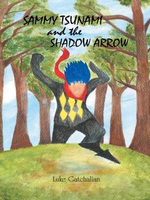 Cover of the book Sammy Tsunami and the Shadow Arrow by Anna L. Walls