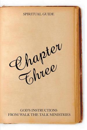 Book cover of Chapter Three